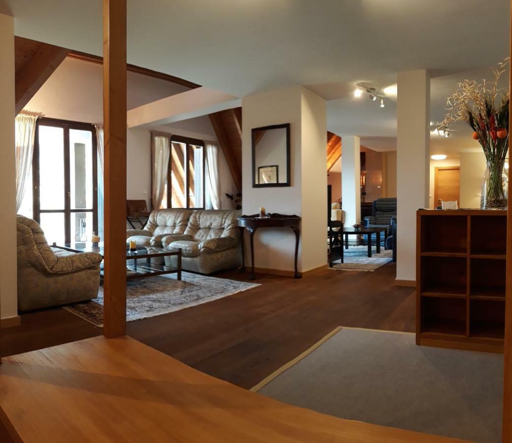 Excelsior. Espectacular Y Exclusivo Apartamento En Sallent De Gallego. Екстериор снимка